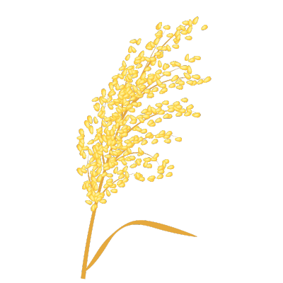 Decorative plants
