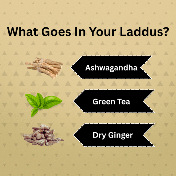 Vital Sprouted Bajra Laddus (4 Laddus Pack) - Image 2